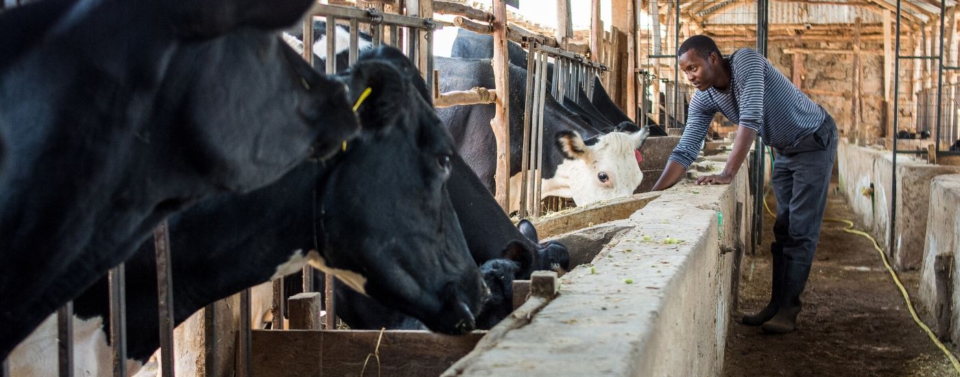 LRC in value addition