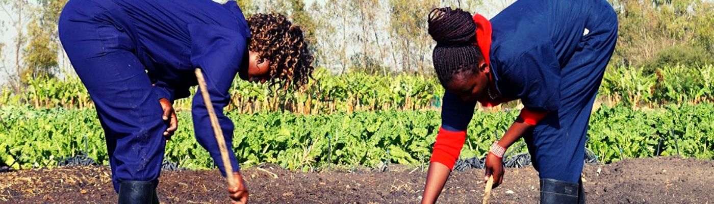 LRC Foundation - Latia Resource Centre Foundation