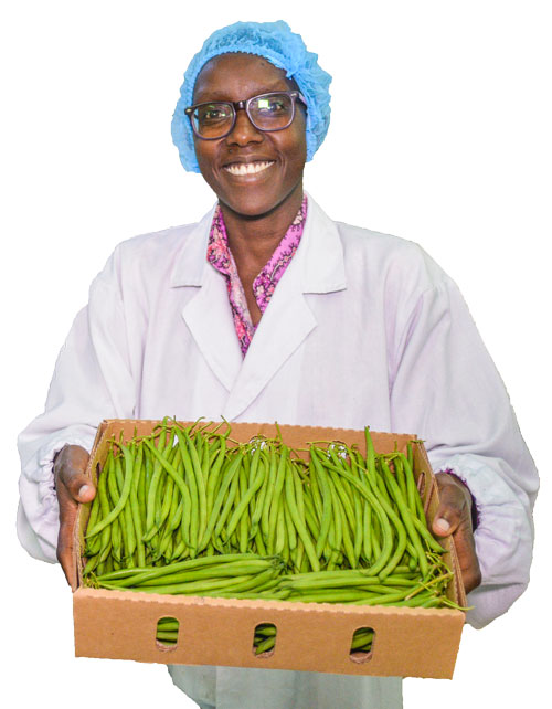 Value-addition--horticulture-happy-client